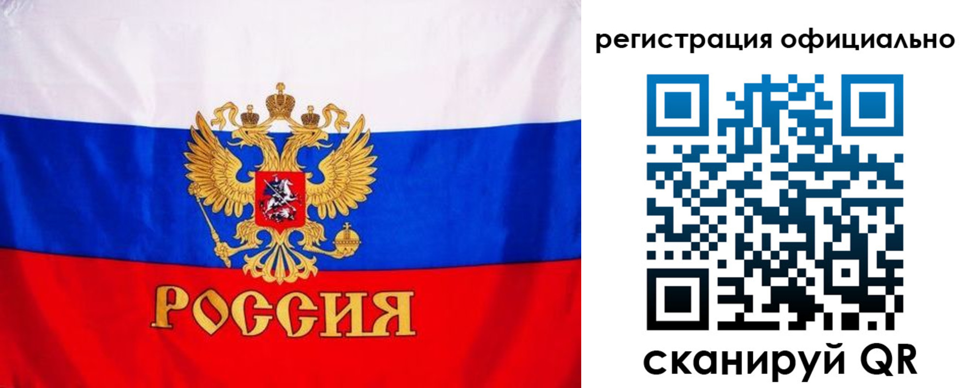 временная регистрация поиск в Мурманской области